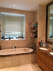 Ardmore Park (D10), Condominium #549973711